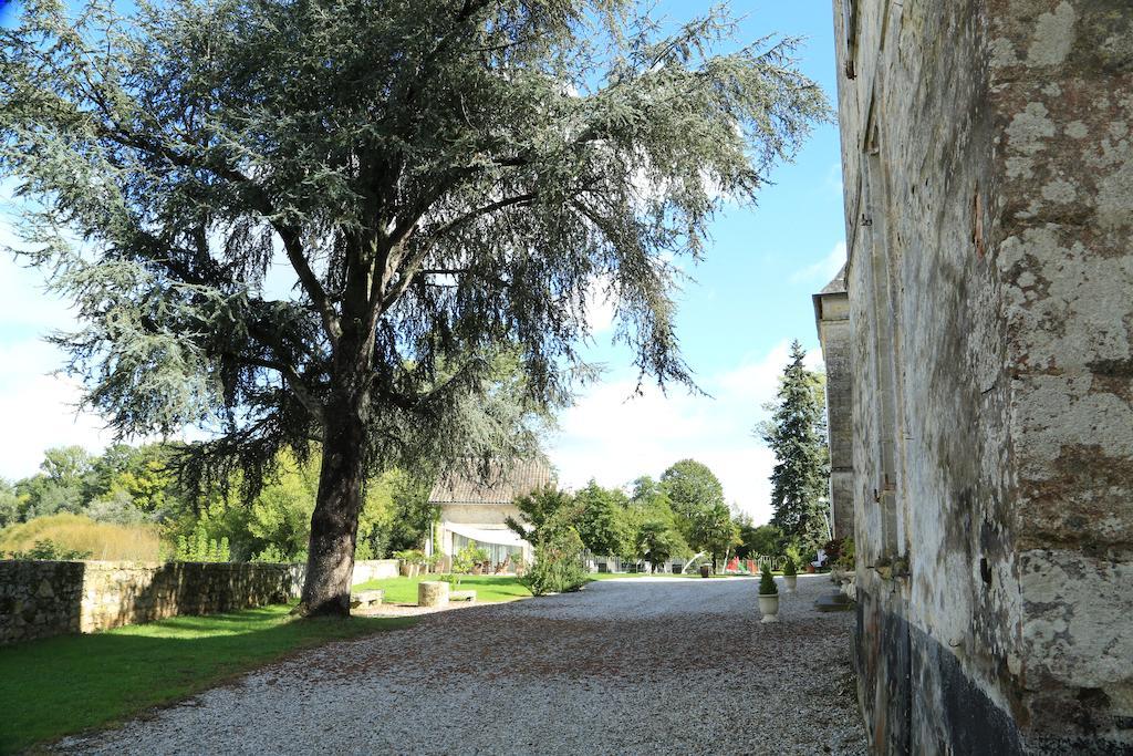 Chateau De Courtebotte Saint-Jean-de-Blaignac Dış mekan fotoğraf